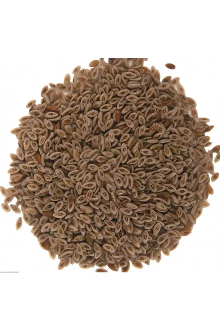 Bitki Sepeti Psyllium Husk Seeds - 100 Gr - 2