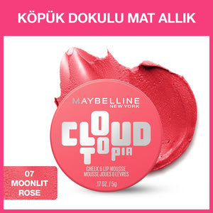 Maybelline New York Cloudtopia Foam Textured Matte Blush