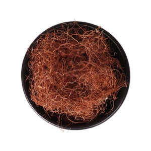 شاي حرير الذرة لتنظيف الجسم والمساعدة في خسارة الوزن بشكل طبيعي