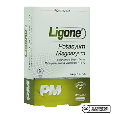 Ligone بوتاسيوم مغنيسيوم 60 كبسولة