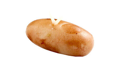 ?ekerci Cafer Potato Marzipan - Traditional Turkish Sweet