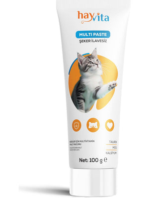 Hayvita Multi Paste 100GR - No Sugar Added