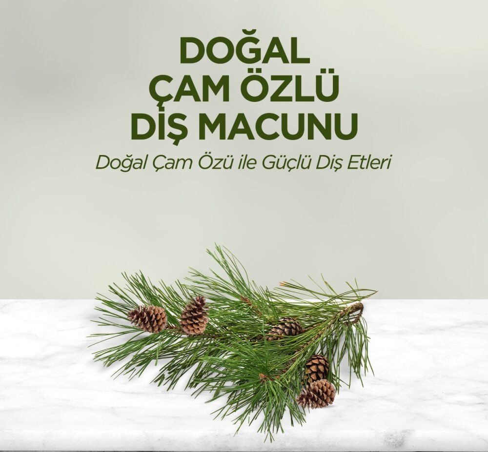 Doğal Çam Özlü Diş Macunu 90 ml - 4