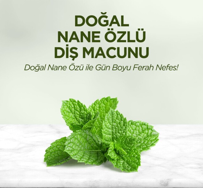 Doğal Nane Özlü Diş Macunu 90 ml - 4