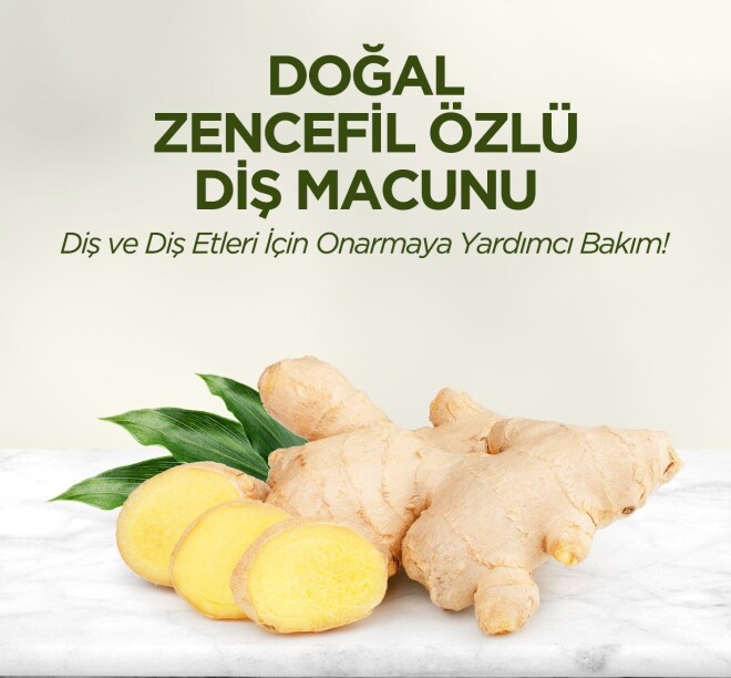 Doğal Zencefil Özlü Diş Macunu 90 ml - 4