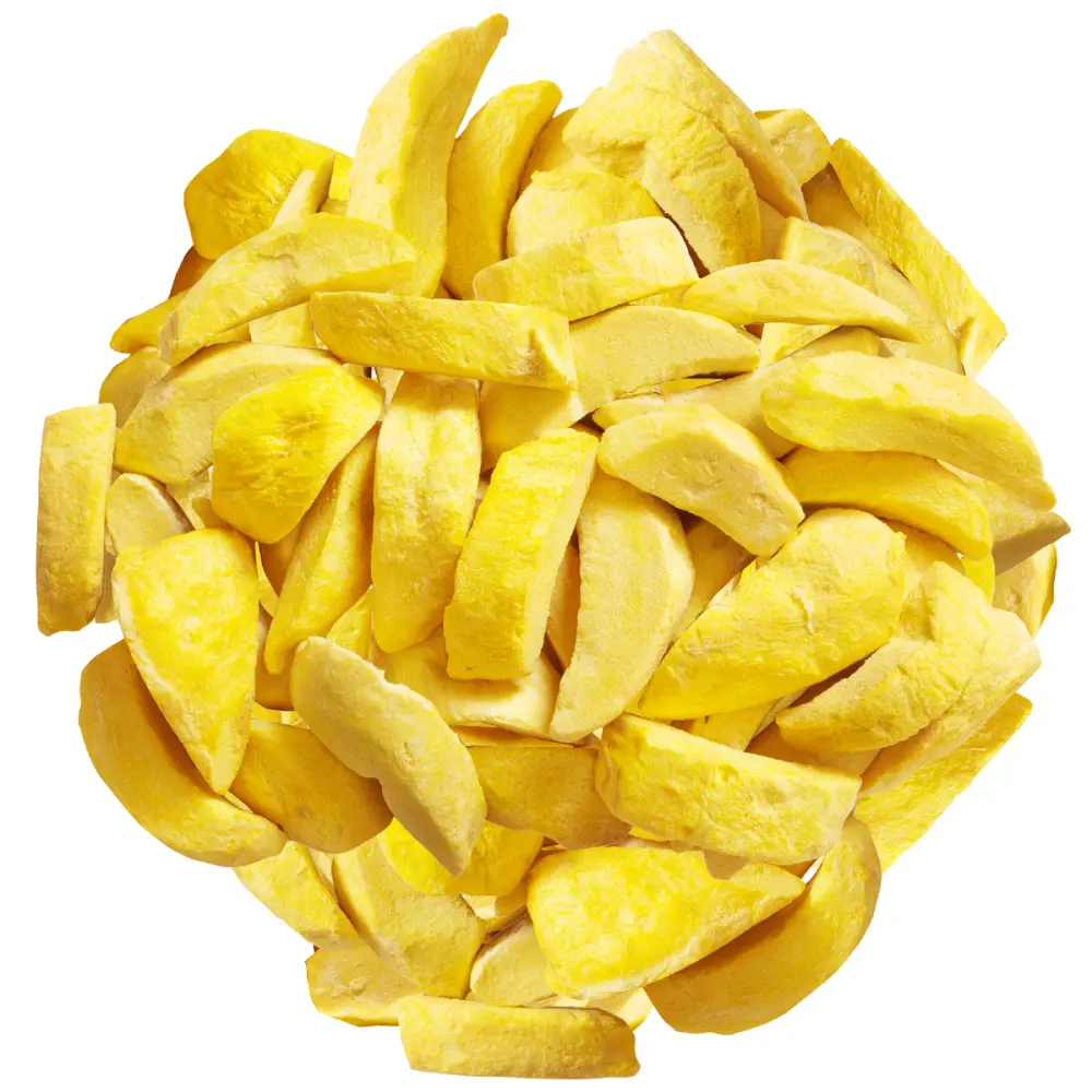 Dokuru Mango Kuru Meyve Cipsi - 20gr - 2