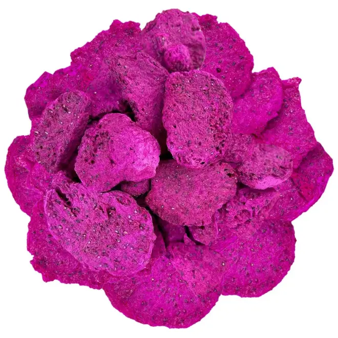 Dokuru Purple Dragon Fruit Dried Fruit Chips - 30g - 3