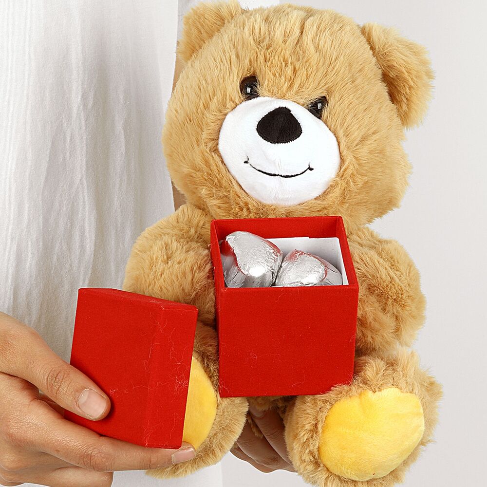 Gift set of pendant star design with (teddy bear - chocolate) - 4