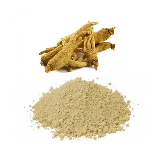 Ginseng Kökü Tozu Öğütülmüş Kırmızı Kore Ginsengi 100gr Gerçek Saf Ginseng Panax - 1