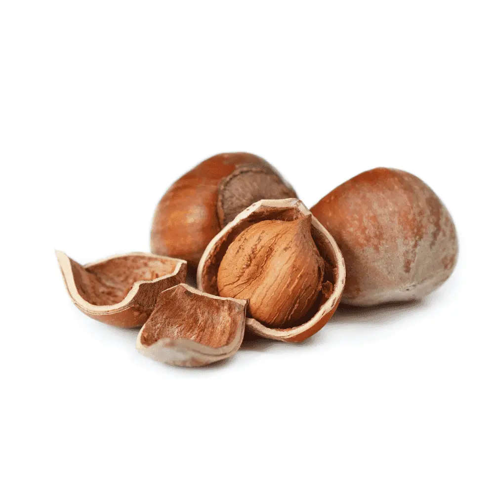 Doğa Pestil Hazelnuts - 1 kg - 1