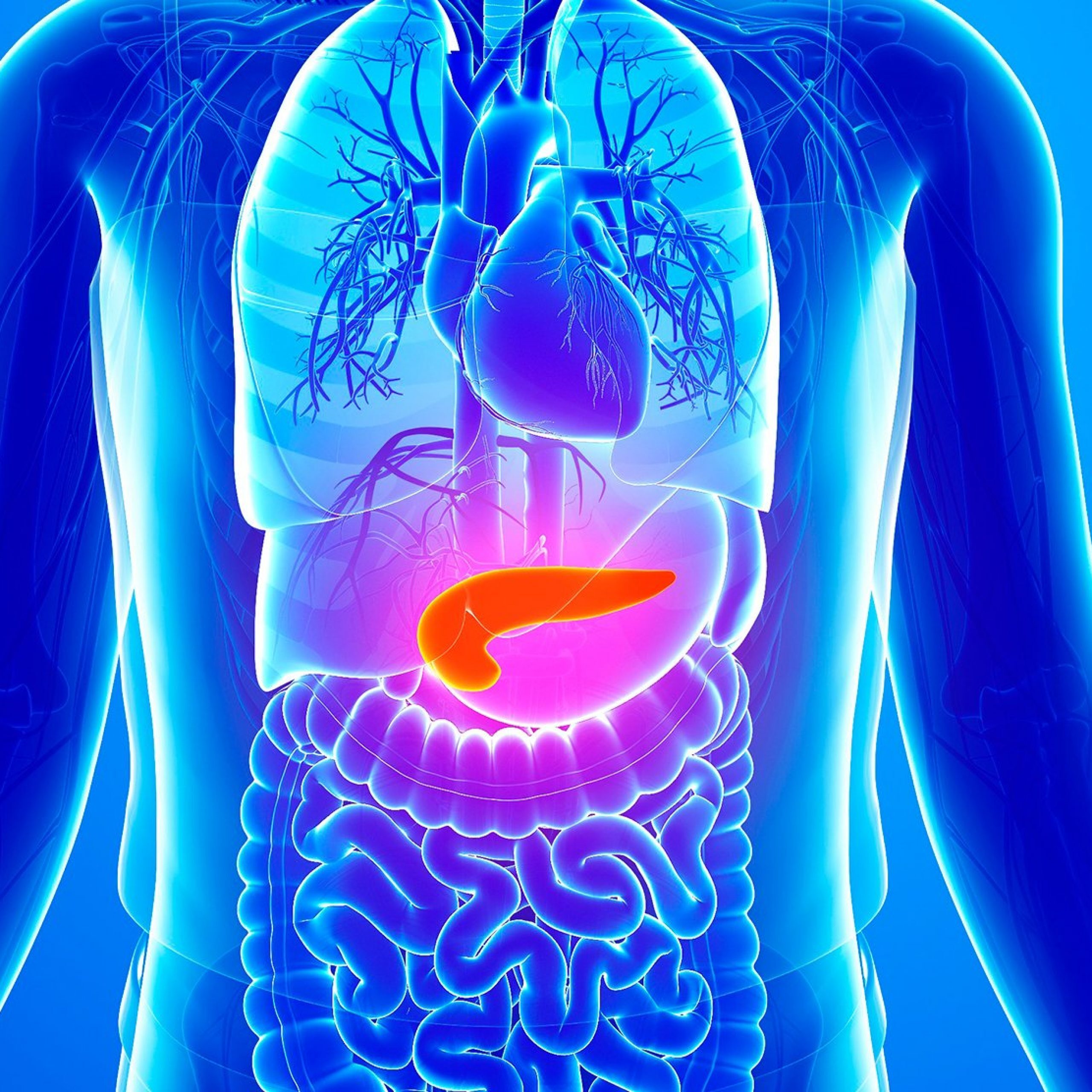 Insulin Resistance