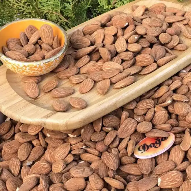 Doğa Pestil Organic Raw Almonds - Adıyaman (250g) - 2