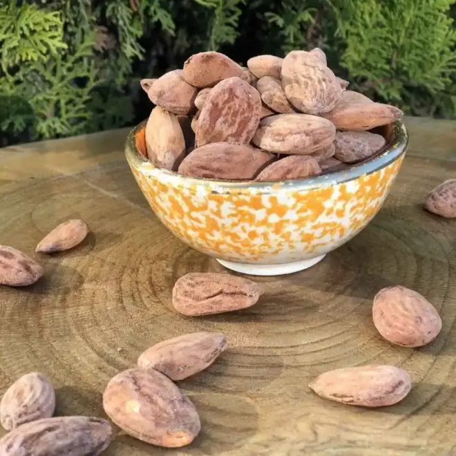 Doğa Pestil Organic Roasted Almonds - Adıyaman - 250g - 3