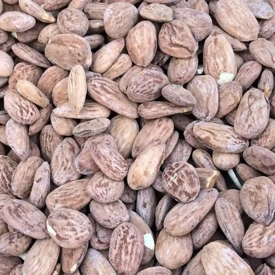 Doğa Pestil Organic Roasted Almonds - Adıyaman - 250g - 1