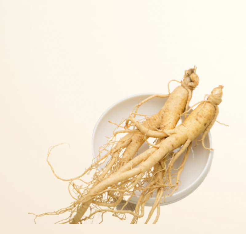 Royal Korean Red Ginseng - 1